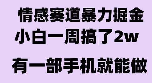 情感暴力掘金项目，新人操作一周挣了2W，长期稳定小白可做【揭秘】-靠谱项目库