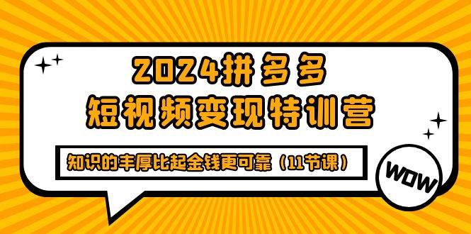 （9817期）2024拼多多短视频变现特训营，知识的丰厚比起金钱更可靠（11节课）-靠谱项目库