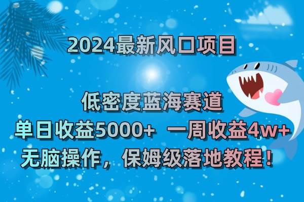 （8545期）2024最新风口项目 低密度蓝海赛道，日收益5000+周收益4w+ 无脑操作，保…-靠谱项目库