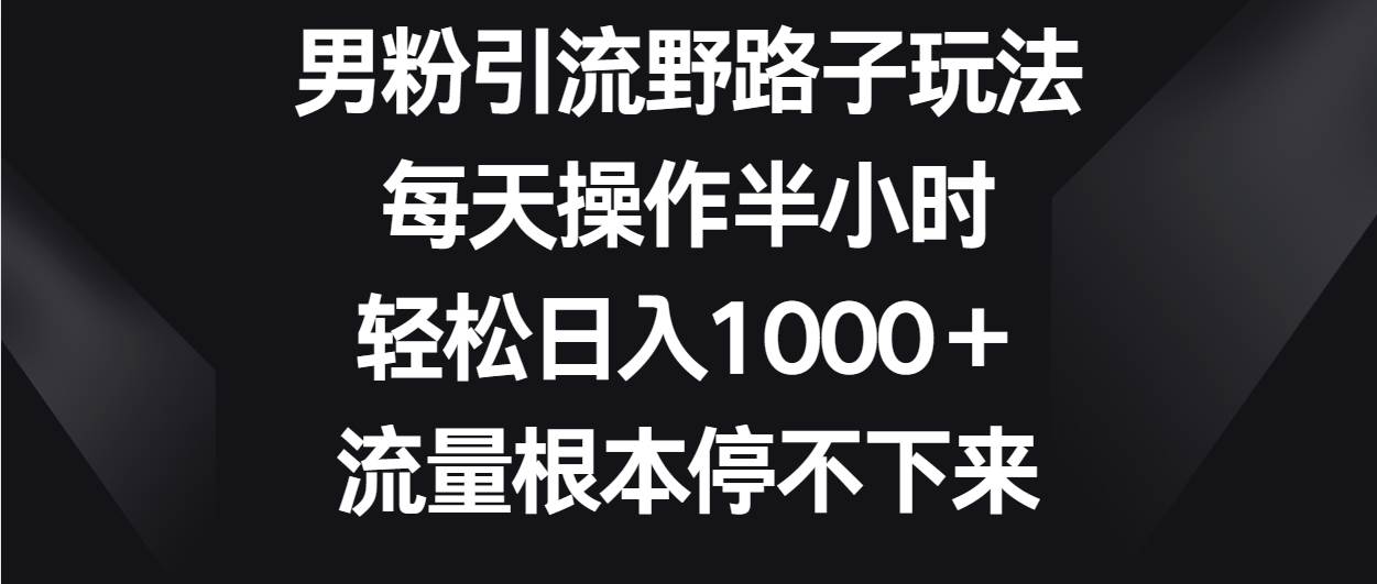 男粉引流野路子玩法，每天操作半小时轻松日入1000＋，流量根本停不下来-靠谱项目库