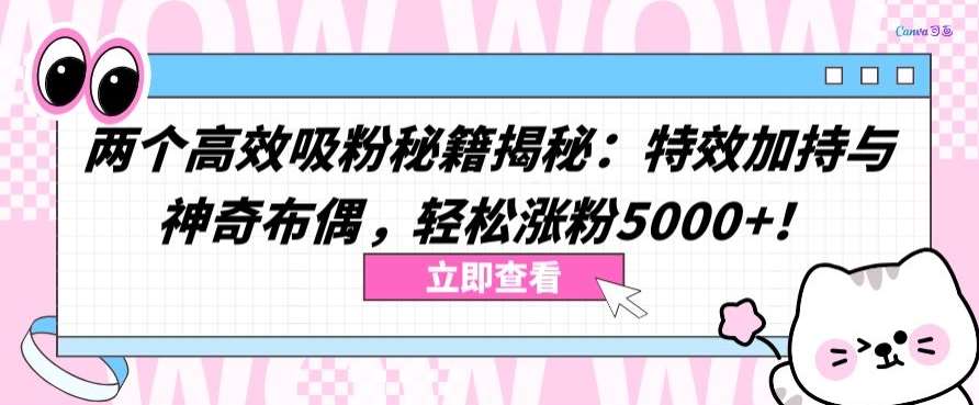 两个高效吸粉秘籍揭秘：特效加持与神奇布偶，轻松涨粉5000+【揭秘】-靠谱项目库