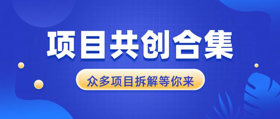 （13778期）项目共创合集，从0-1全过程拆解，让你迅速找到适合自已的项目-靠谱项目库