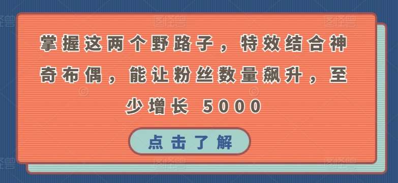 掌握这两个野路子，特效结合神奇布偶，能让粉丝数量飙升，至少增长 5000【揭秘】-靠谱项目库