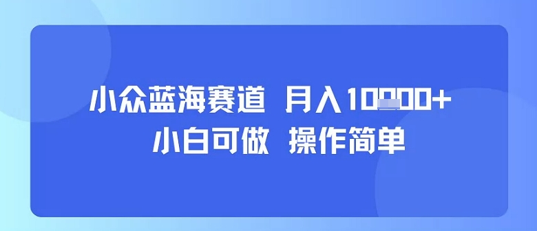 小众蓝海赛道，小白可做，操作简单，每天30分钟，月入1W+-靠谱项目库
