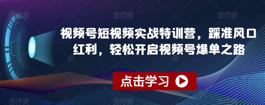 视频号短视频实战特训营，踩准风口红利，轻松开启视频号爆单之路-靠谱项目库