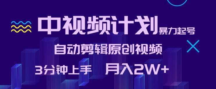 中视频计划暴力起号，自动剪辑原创视频，3分钟上手，月入2W+【揭秘】-靠谱项目库