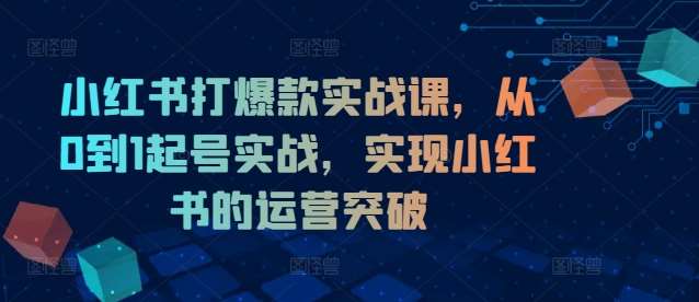 小红书打爆款实战课，从0到1起号实战，实现小红书的运营突破-靠谱项目库