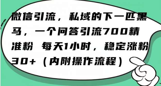 怎么搞精准创业粉？微信新赛道，每天一小时，利用Ai一个问答日引100精准粉-靠谱项目库