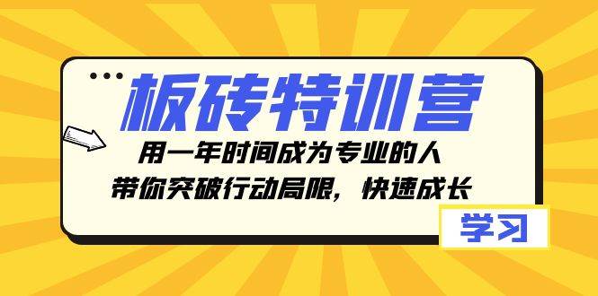 （8048期）板砖特训营，用一年时间成为专业的人，带你突破行动局限，快速成长-靠谱项目库