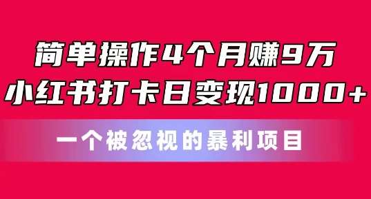 简单操作4个月赚9w，小红书打卡日变现1k，一个被忽视的暴力项目【揭秘】-靠谱项目库