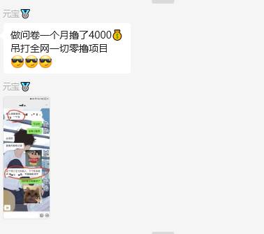 图片[2]-问卷调查兼职项目，随时可做 超低门槛 单号日撸20+-靠谱项目库