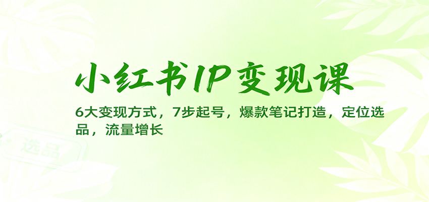 小红书IP变现课：6大变现方式，7步起号，爆款笔记打造，定位选品，流量增长-靠谱项目库