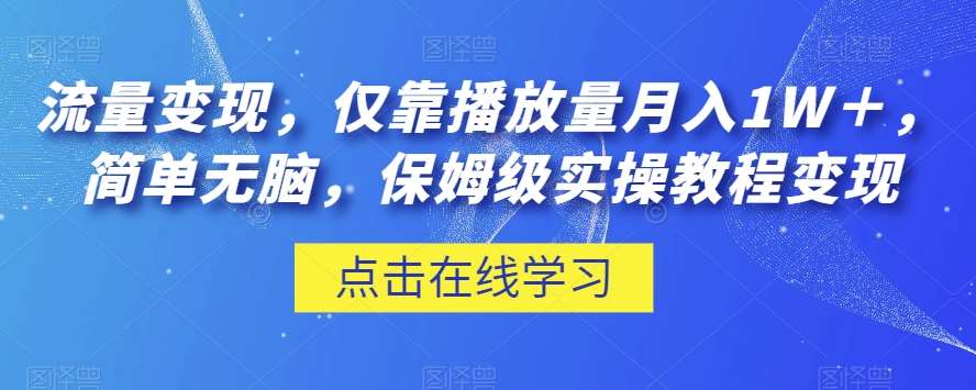 流量变现，仅靠播放量月入1W＋，简单无脑，保姆级实操教程【揭秘】-靠谱项目库
