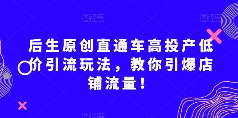 后生原创直通车高投产低价引流玩法，教你引爆店铺流量！-靠谱项目库