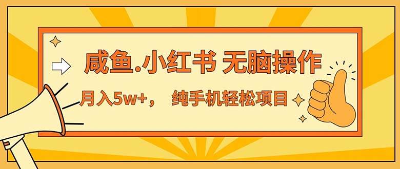 （11524期）2024最赚钱的项目，咸鱼，小红书无脑操作，每单利润500+，轻松月入5万+…-靠谱项目库