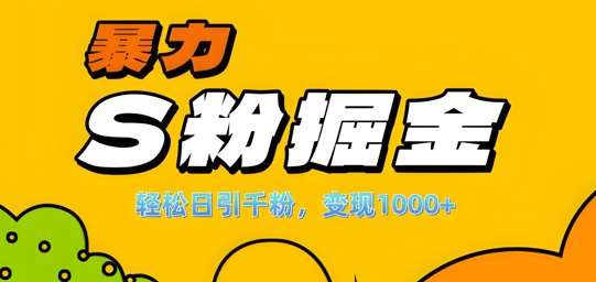 单人单机日引千粉，变现1k+，S粉流量掘金计划攻略【揭秘】-靠谱项目库
