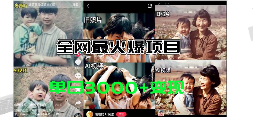 （11546期）全网爆火的AI让老照片动起来教程，蹭热点日赚3000+，内含免费工具一键…-靠谱项目库