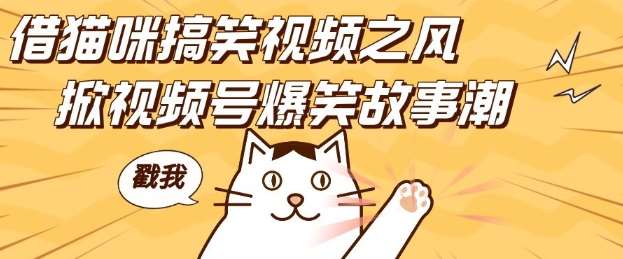 借猫咪搞笑视频之风，掀视频号爆笑故事潮，轻松日入四位数，无门槛快速入门!-靠谱项目库