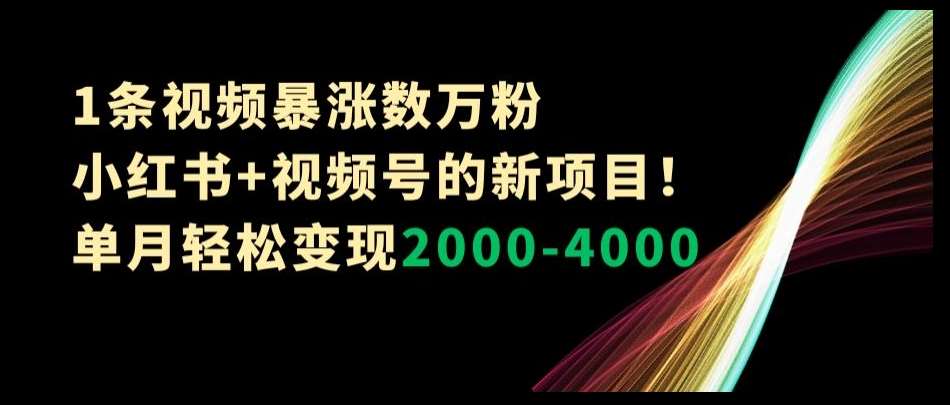 1条视频暴涨数万粉–小红书+视频号的新项目！单月轻松变现2000-4000【揭秘】-靠谱项目库