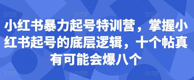 小红书暴力起号特训营，掌握小红书起号的底层逻辑，十个帖真有可能会爆八个-靠谱项目库