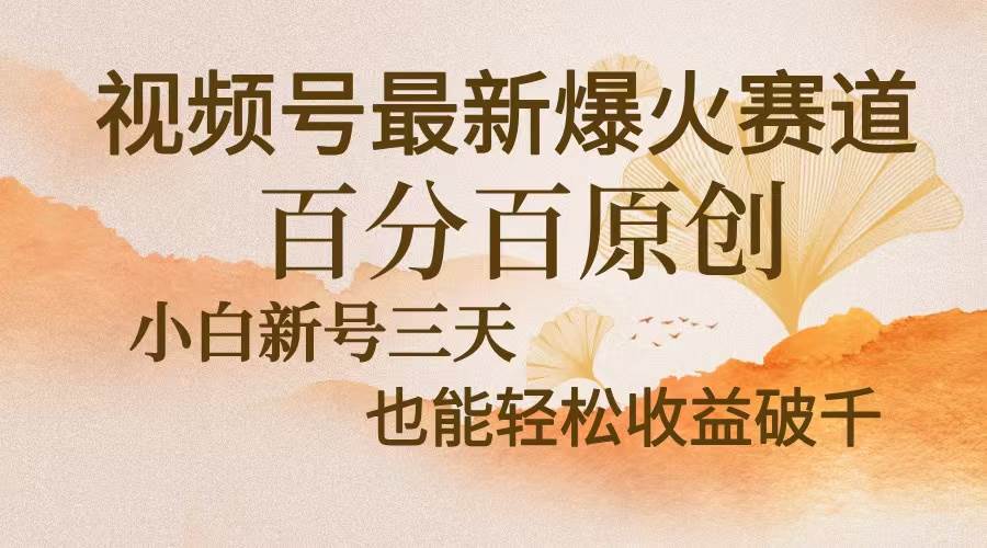 （13225期）视频号最新爆火赛道，中老年粉深信不疑，百分百原创，新号三天收益轻松…-靠谱项目库