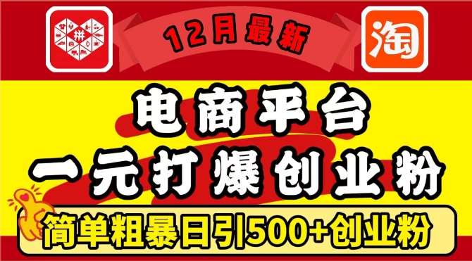 12月最新：电商平台1元打爆创业粉，简单粗暴日引500+精准创业粉，轻松月入过W【揭秘】-靠谱项目库