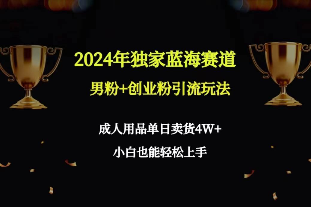 2024年独家蓝海赛道男粉+创业粉引流玩法，成人用品单日卖货4W+保姆教程-靠谱项目库