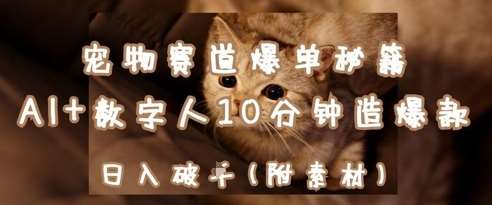 宠物赛道爆单秘籍：AI+数字人10分钟造爆款，日入1k-靠谱项目库