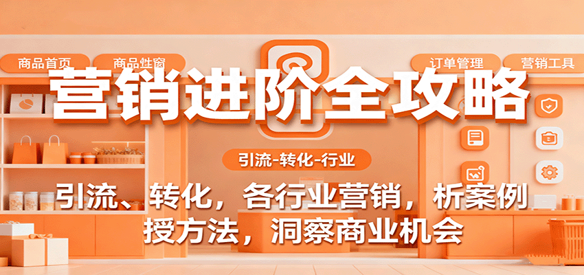 营销进阶全攻略，引流、转化，各行业营销，析案例，授方法，洞察商业机会-靠谱项目库