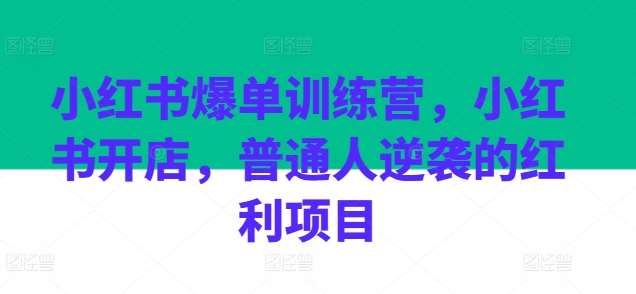 小红书爆单训练营，小红书开店，普通人逆袭的红利项目-靠谱项目库