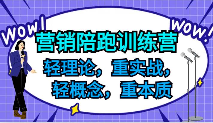 营销陪跑训练营，轻理论，重实战，轻概念，重本质，适合中小企业和初创企业的老板-靠谱项目库
