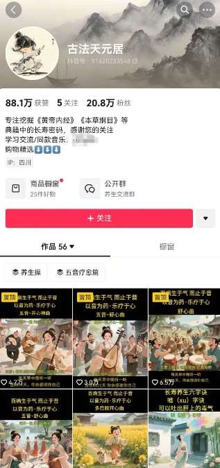 图片[2]-古法五音养生教程，五音疗愈的视频的制作方法，2-4小时就能学会，作者10天涨粉10W-靠谱项目库