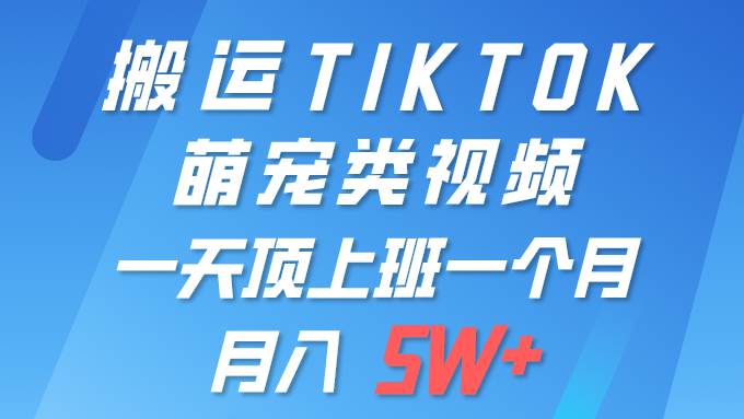 一键搬运TIKTOK萌宠类视频 一部手机即可操作 所有平台均可发布 轻松月入5W+-靠谱项目库