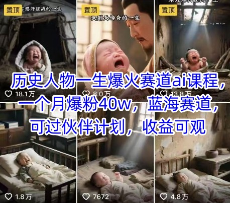历史人物一生爆火赛道ai课程，一个月爆粉40w，蓝海赛道，可过伙伴计划，收益可观-靠谱项目库