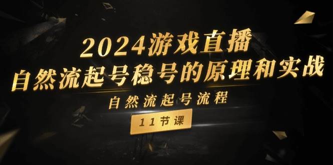 （11653期）2024游戏直播-自然流起号稳号的原理和实战，自然流起号流程（11节）-靠谱项目库