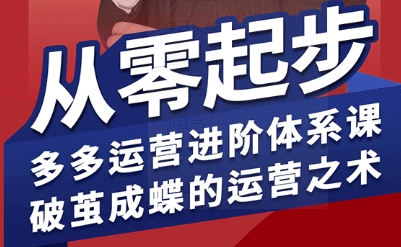 拼多多运营进阶系统课，从零起步，多多运营进阶体系课，破茧成蝶的运营之术-靠谱项目库