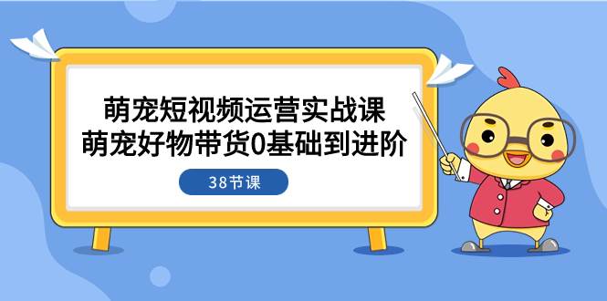 （7915期）萌宠·短视频运营实战课：萌宠好物带货0基础到进阶（38节课）-靠谱项目库