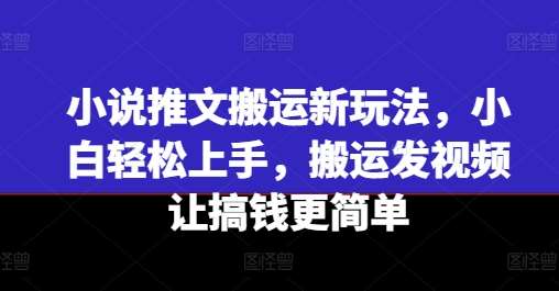 小说推文搬运新玩法，小白轻松上手，搬运发视频让搞钱更简单-靠谱项目库
