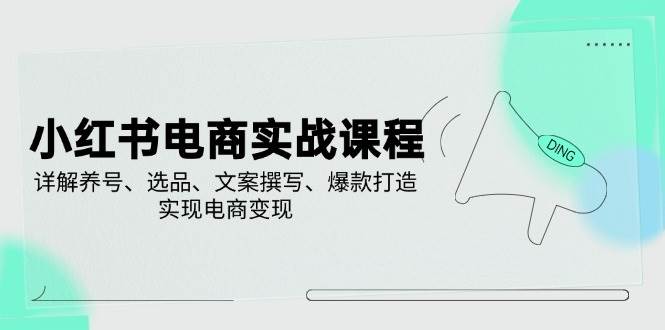 （14549期）小红书电商实战课程，详解养号、选品、文案撰写、爆款打造，实现电商变现-靠谱项目库