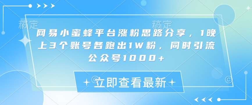 网易小蜜蜂平台涨粉思路分享，1晚上3个账号各跑出1W粉，同时引流公众号1000+-靠谱项目库