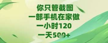 你只管截图，一部手机在家做，苹果安卓都可以，一天5张+【揭秘】-靠谱项目库