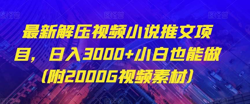最新解压视频小说推文项目，日入3000+小白也能做（附2000G视频素材）【揭秘】-靠谱项目库