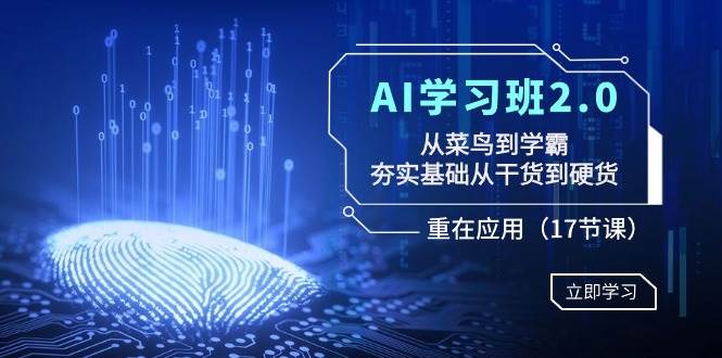 AI学习班2.0：从菜鸟到学霸，夯实基础从干货到硬货，重在应用（17节课）-靠谱项目库