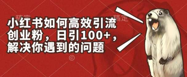 小红书如何高效引流创业粉，日引100+，解决你遇到的问题【揭秘】-靠谱项目库