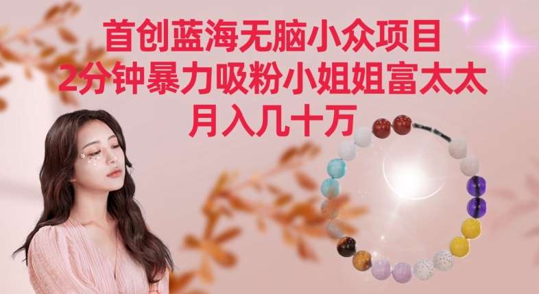 首创蓝海无脑小众项目，2分钟暴力吸粉小姐姐富太太，月入几十万【揭秘】-靠谱项目库