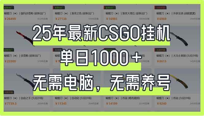（14178期）25年最新CSGO挂机系统，单日1000+，无需电脑，无需养号，0基础可上手-靠谱项目库