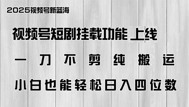 （14310期）视频号短剧挂载功能上线，一刀不剪纯搬运，小白也能轻松日入四位数-靠谱项目库