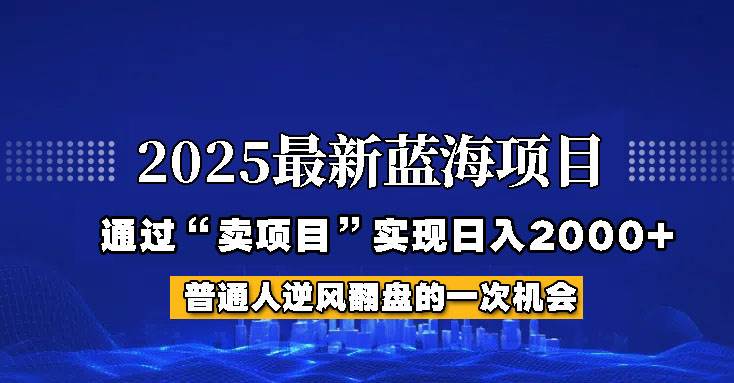 2025年蓝海项目，如何通过“网创项目”日入2000+-靠谱项目库