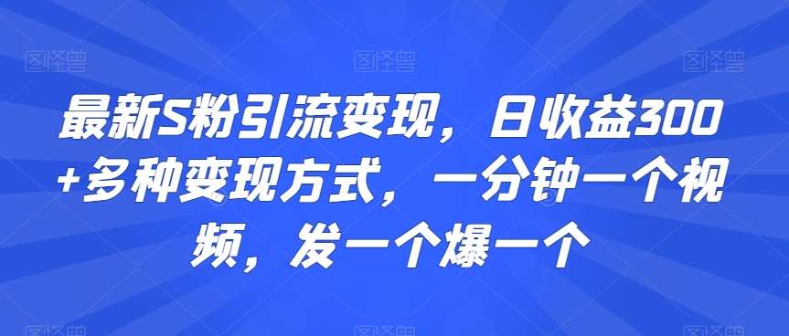 最新S粉引流变现，日收益300+多种变现方式，一分钟一个视频，发一个爆一个【揭秘】-靠谱项目库