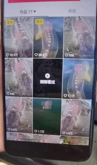 图片[2]-外面卖399的国学佛像原创暴力起号技术，快速起号，7天可达到一个万粉号-靠谱项目库